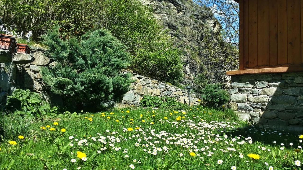 Il Rifugio Della Volpe Appartement Introd Buitenkant foto